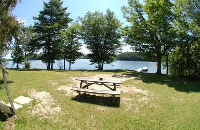 a picnic table in the grass next to a lake at Muskoka Shores Cottages in Port Carling