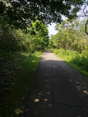 an empty road with trees on either side at Pelican guest house. Village style living. Spend vacation time in Eco place! in Fort Erie