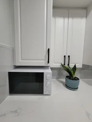 a microwave in a kitchen with a potted plant at RoryHouse in Toronto