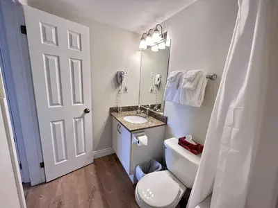 a bathroom with a toilet and a sink and a mirror at Blue Mountain at your Door Step in Blue Mountains