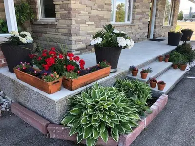 a bunch of potted plants sitting on the steps of a house at Tulip Motel in Woodstock