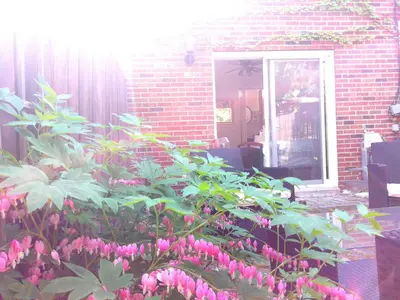 a garden with pink flowers in front of a brick house at Margie Townhome Suites in Toronto