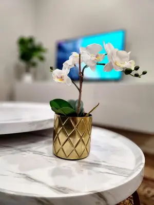 a gold vase with white flowers on a table at The Zen Escape Modern Queen Size One Bedroom Full Apartment in St. Catharines