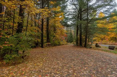 a leaf covered road in a forest with trees at The Doma Lodge - Cozy Muskoka Cabin in the Woods in Huntsville