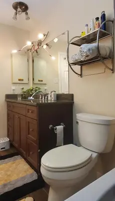 a bathroom with a toilet and a sink and a mirror at Beautiful House in Mississauga in Mississauga