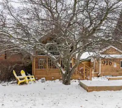 a snow covered yard with a tree and a house at Tiny House Haven in Peterborough