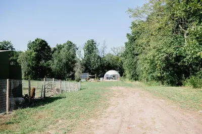 a dirt road with a fence and a white tent at Open Sky Glamping Kawartha Dome in Marmora