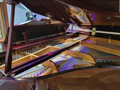 a close up of a grand piano in a room at Anthropocene Jewel Cottage in Milton