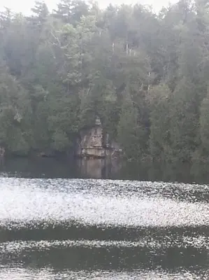 a large body of water next to a forest at Anthropocene Jewel Cottage in Milton