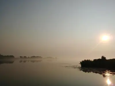 a misty river with the sun rising in the background at Stoneburg Cove Cottages in Carrying Place