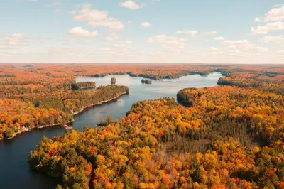 an aerial view of a river with fall foliage at Waterfront private cottage on Koshlong Lake in Haliburton
