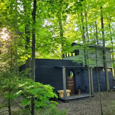 Black Pine Tree House