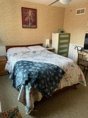 a bedroom with a bed with a palm tree picture on the wall at Comfortable stay in Milton