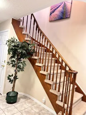 a staircase in a home with a potted plant at \u591a\u4f26\u591a\u6e56\u7554\u522b\u5885\u53cc\u4eba\u95f43 in Bowmanville