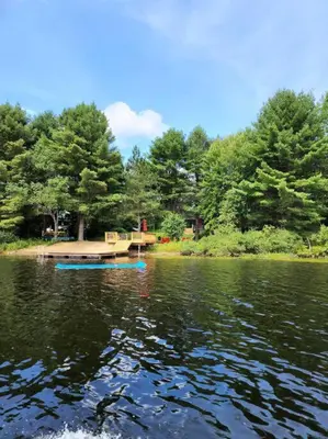 a view of a lake with a dock and trees at Red Cedar Chalet on Brady Lake in Hindon Hill