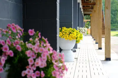 a row of vases filled with flowers next to a building at Stay Inn Muskoka in Gravenhurst