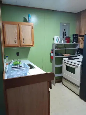 a kitchen with green walls and a white stove at Lakefront Hideaway Resort 10 Total cabins-Lake View, Private Beach in Kawartha Lakes