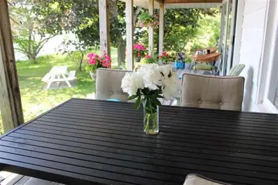 a vase of white flowers sitting on a table at Cute and Cozy Lakefront Cottage in Wellington