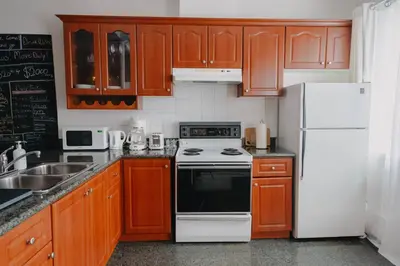 a kitchen with wooden cabinets and a white refrigerator at Lum The Queen in Toronto