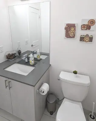 a bathroom with a toilet and a sink and a mirror at KozyStay Toronto in Toronto