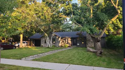 a stone house with a tree in the yard at Forest city House -Rooms in a family style in London