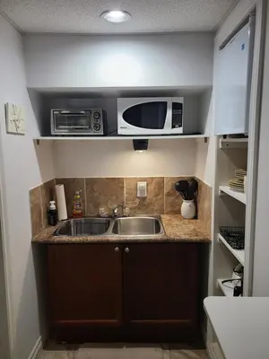a kitchen with a sink and a microwave at Maya Bed and Breakfast in Port Perry