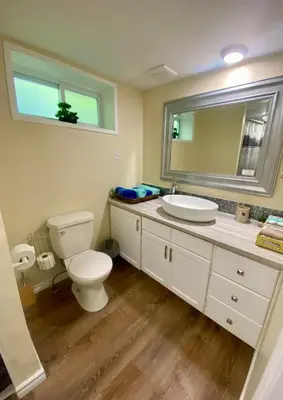 a bathroom with a toilet and a sink and a mirror at Cobourg Country Home - 10 Minutes From Cobourg Beach! in Cobourg