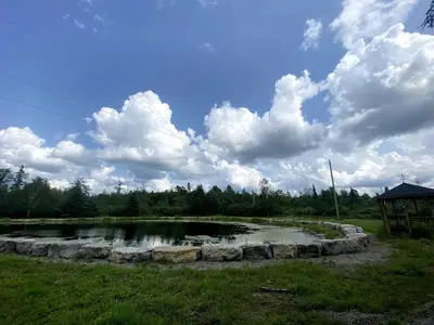 a pond in a grassy field with a cloudy sky at Peaceful and Heavenly Private Water Front Cottage on 100 Acres of Scenic Beauty- Trent Lakes in Kinmount