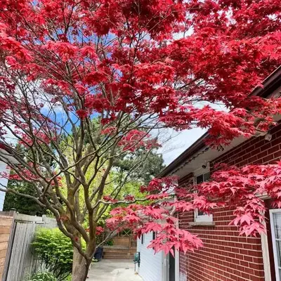 Riverwood Home-Entire Rental Unit