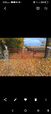 a fence with a wheel in a field of leaves at Cottage on the Pond in Millbrook