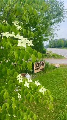 a sign sitting in the grass next to a road at Sunset Suites in Niagara Wine Country in Niagara on the Lake