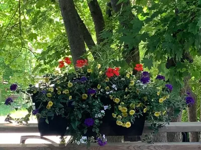 a bunch of flowers in a hanging basket on a bench at Stone Mill Retreat - Rustic Cozy Getaway with Loft! in Fergus