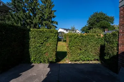 a hedge in front of a house with a driveway at Chic and Cozy 5 Bedroom House in Brampton