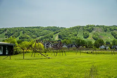 an empty playground in a field of green grass at 6 bdrm Cottage at Blue Mountain, Private Beach Access, Hot Tub, Sauna, BBQ, Petfriendly in Blue Mountains