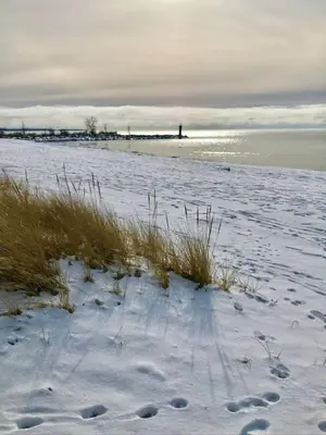 a snow covered beach with grass and the ocean at Gwyn Haven - Spacious Charming Century Home in Wellington in Wellington
