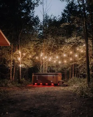 a bed in the middle of a forest with lights at The Green Acres Cabin in Hamilton