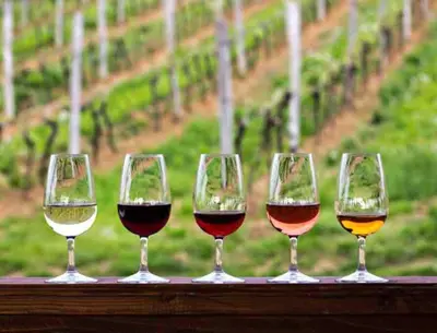 a row of wine glasses sitting on a ledge at River Runs Through It in Belleville