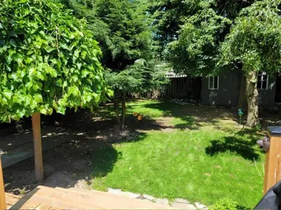 a yard with green grass and trees and a house at Luxury and comfy Home- Niagara getaway in Niagara Falls