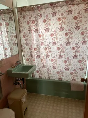a bathroom with a sink and a shower curtain at Big apartment by the Farmers market in Kitchener