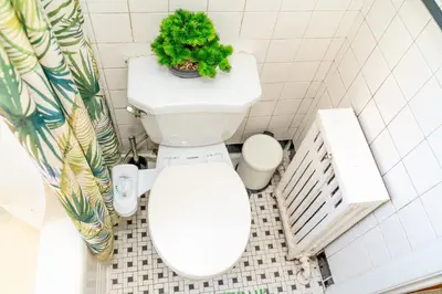 a bathroom with a toilet with a potted plant on it at Room in cozy house close to Lawrence Ave, WiFi, parking in Toronto