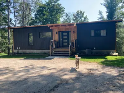 a dog standing in front of a tiny house at Treetop Suite in Haliburton