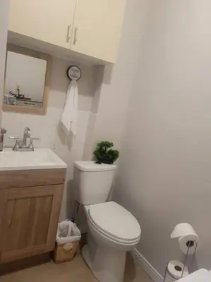 a bathroom with a white toilet and a sink at ARCA Cozy Cabin-Innisfil Beach in Innisfil