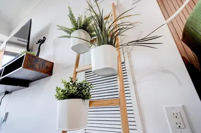 a staircase with potted plants on the wall at The Urban Escape in Toronto