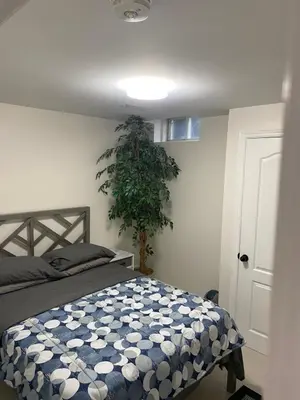 a bedroom with a bed and a potted plant at Akhtar's Residence in Mississauga