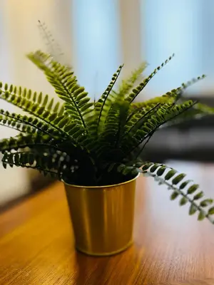 a green plant in a gold pot on a table at Modern 1-Bedroom Apartment - Near Airport & Toronto Downtown in Brampton