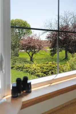 a window with a view of a tree at Field of Dreams in Bloomfield
