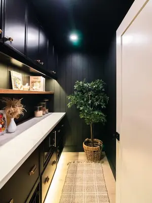 a potted tree in a kitchen with black cabinets at The White House in Caledonia