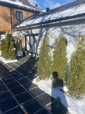 a dog sitting in front of some christmas trees at 1 bedroom Garden Suite with parking, Best Location in Collingwood