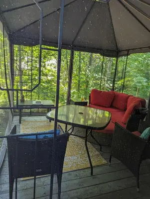 a patio with a couch and a table and an umbrella at The Firefly - 6 Chipmunk in Cherry Valley