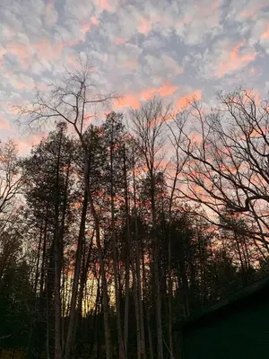 a group of trees with a sunset in the background at McCracken's Mid Century Modern Luxury Cottage in Burleigh Falls